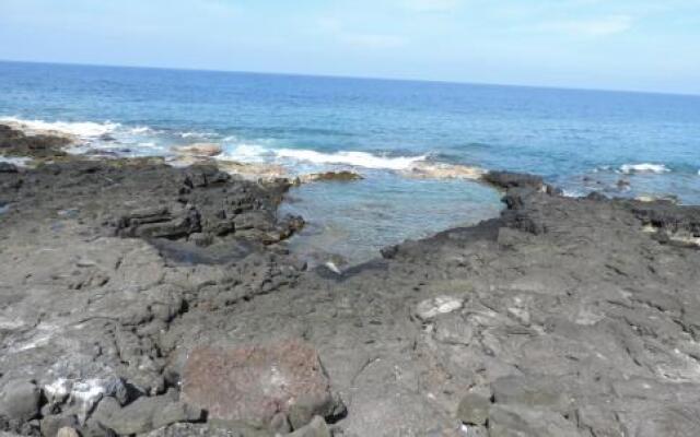 Alii Villas 241 with Ocean View