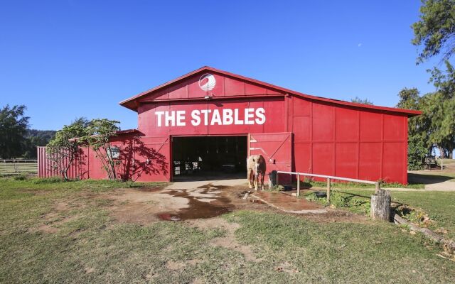 White Ginger Turtle Bay - 3 Br Condo