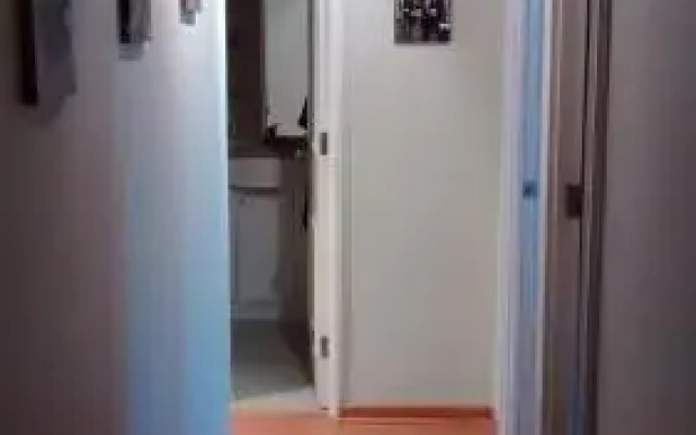 Temporary Rent Viña del Mar