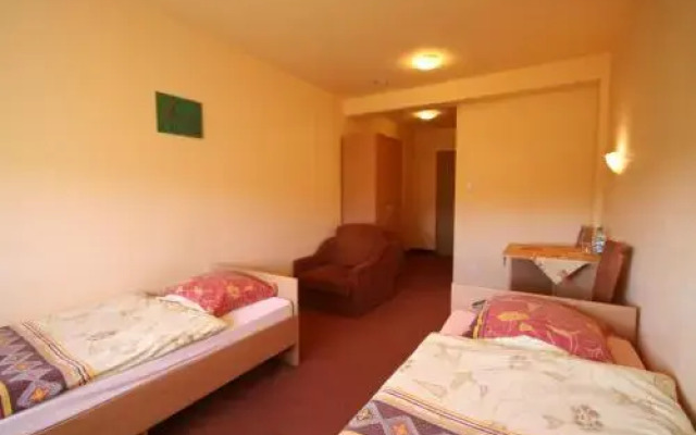 Hotel Wena