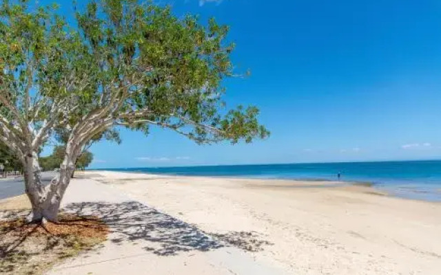Spectacular Unit Overlooking Pumicestone Passage - Welsby Pde, Bongaree