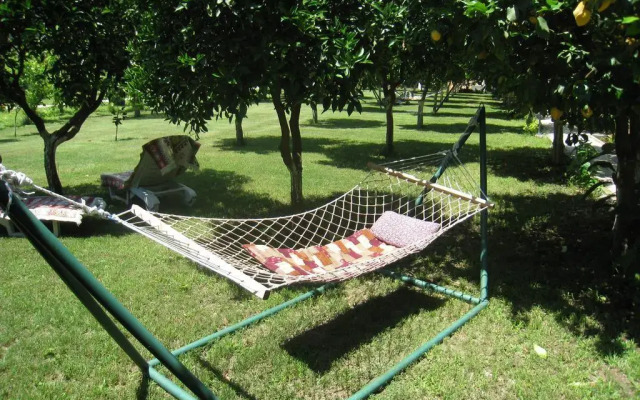 Blue Paradise Pension