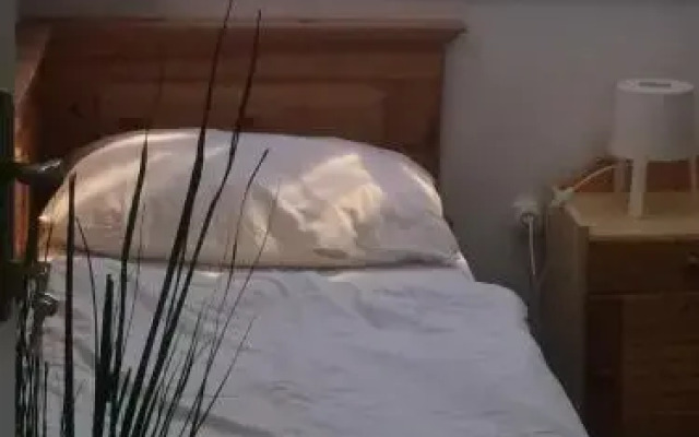 Y Panzió