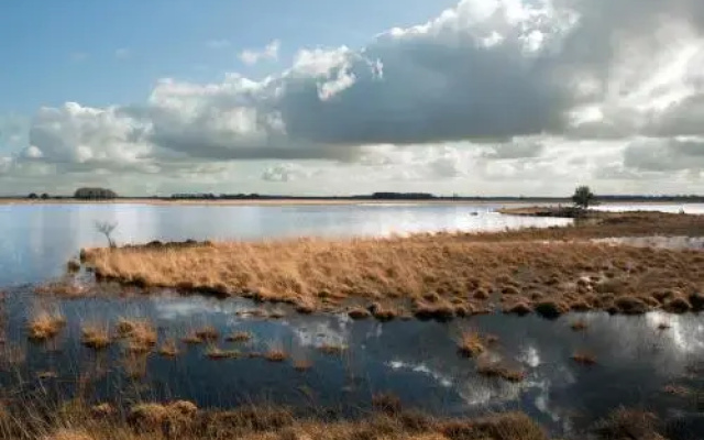 Vakantiepark Bosmeer