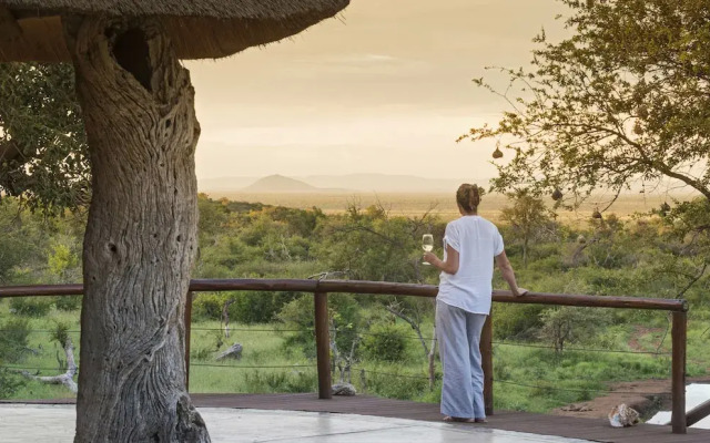 Royal Madikwe Luxury Safari Lodge