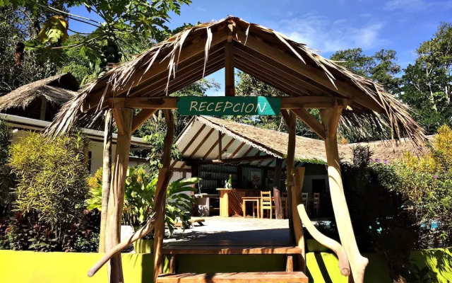 La Rana De Cahuita