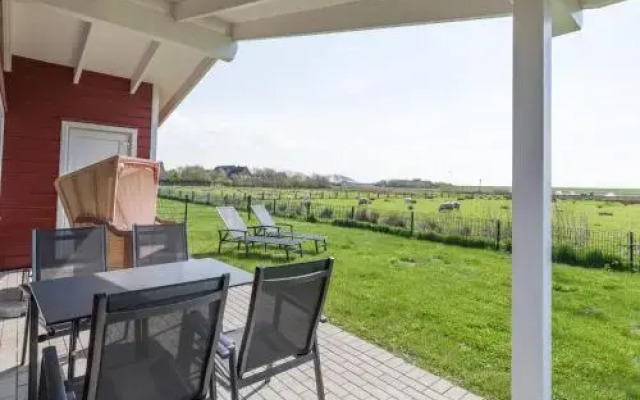 Ferienhaus - Strandflieder