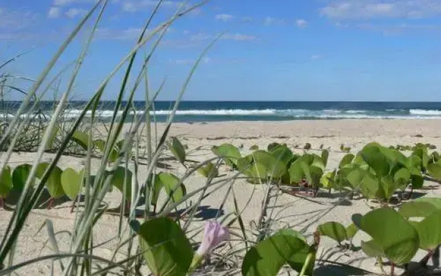 White Waves on the Beach