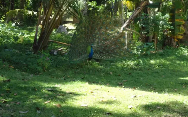Kaluwagaha Watta House