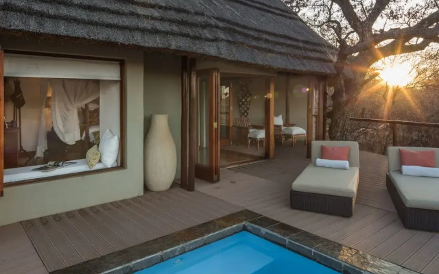 Royal Madikwe Luxury Safari Lodge