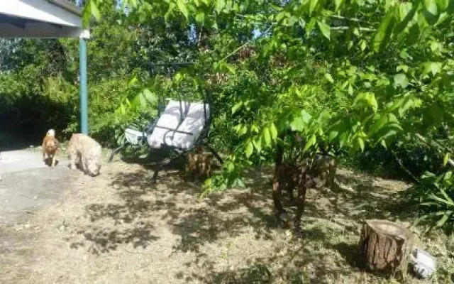Las Palmeras