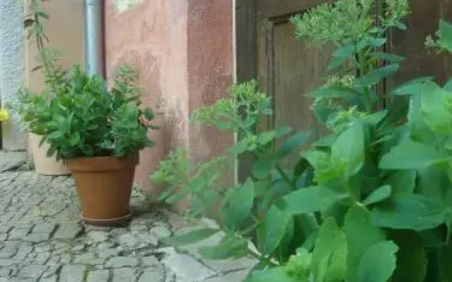 Bed & Breakfast Antico