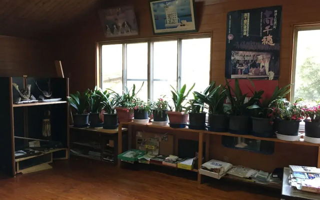 Takachiho Youth Hostel
