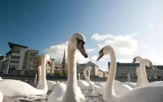 Green Lane House B&B