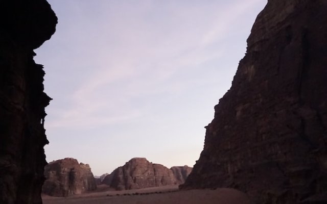 Wadi Rum Desert Colored Camp and Tours