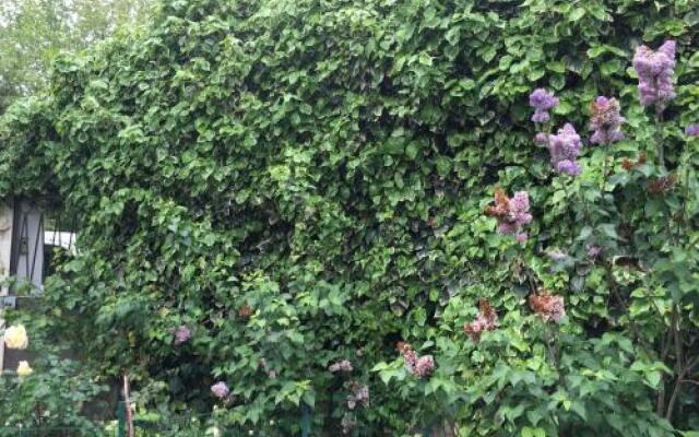 Le Portail Du Ventoux