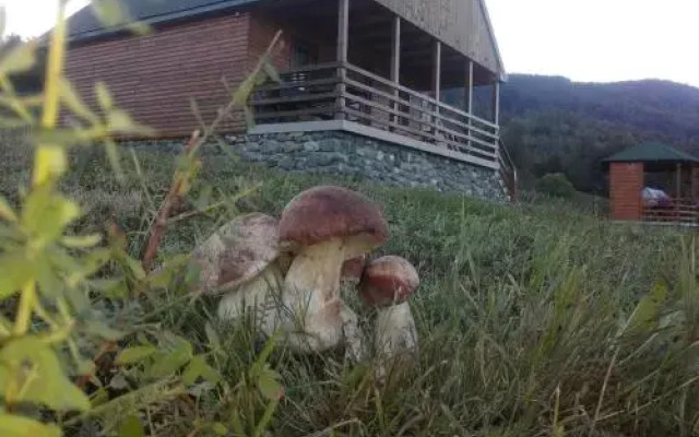 Country House Eco village Ćorić