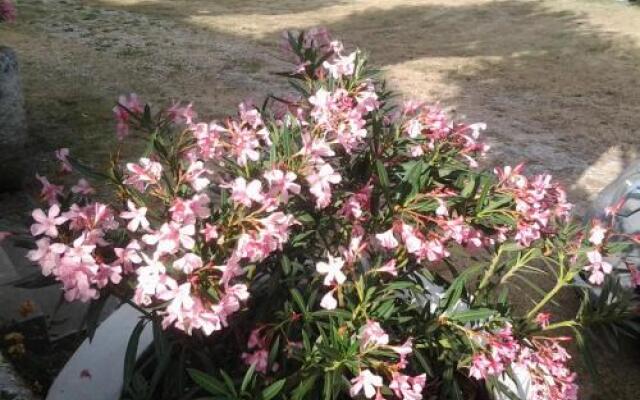 Chambres d'hôtes Les Fontenilles