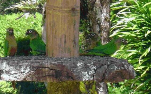 Hotel Refugio dos Falcoes