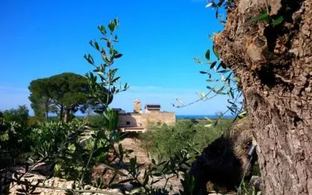 Posta Santa Croce - Ospitalità In Masseria