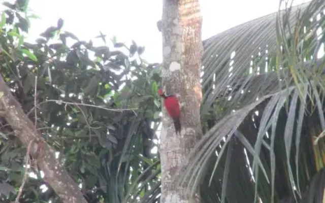 Jasmine Resort Thalalla