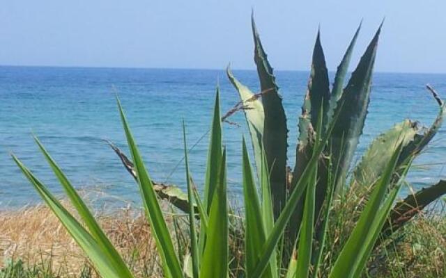 Agia Kiriaki Beach Bungalows