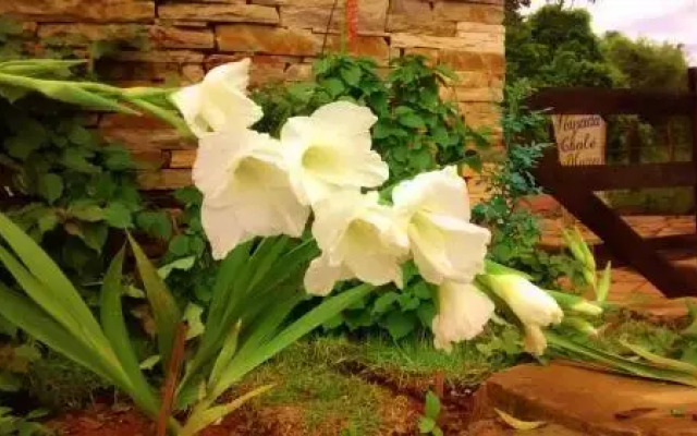 Pousada Muro de Pedra