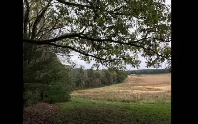 Tentrr - Halfmoon Hollow- Campsite