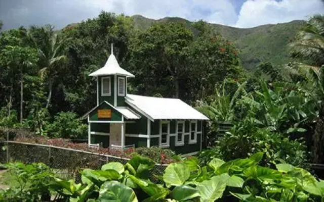 Molokai Shores 223