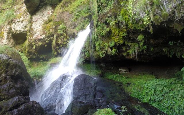 Domaine de l'Ours / Camping Lodge