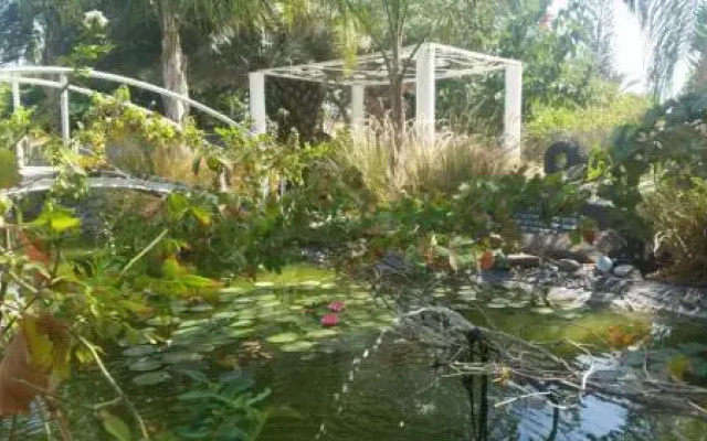 Kmo Yam In The Love Garden