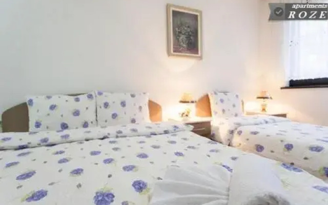 Apartments Tomic
