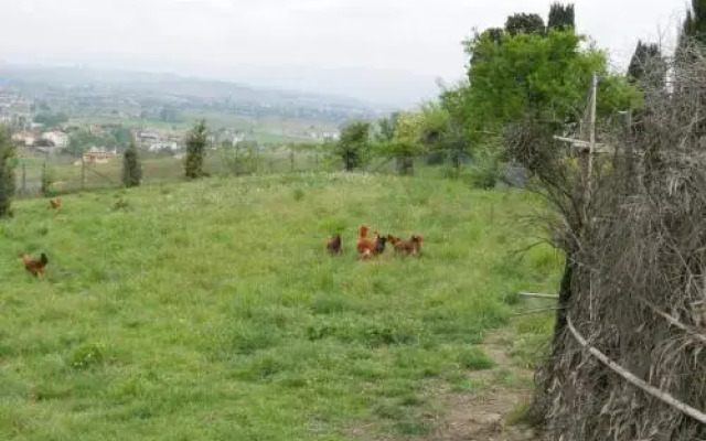 Agriturismo Il Paretaio