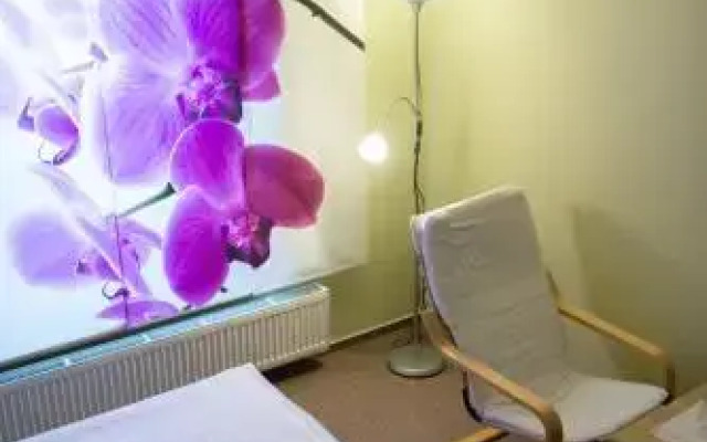 Penzion U Zámecké Zahrady