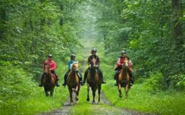 La Maison Bird Chambre d'hotes
