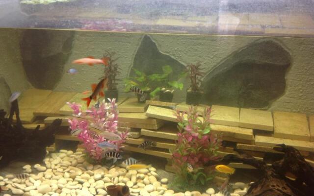 Griya Rattu Kost N Guesthouse