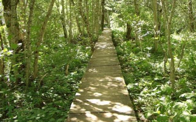 Country House Eco village Ćorić