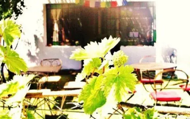 Hostel El Puesto