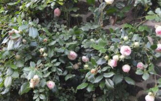 Le Domaine de Loupiac