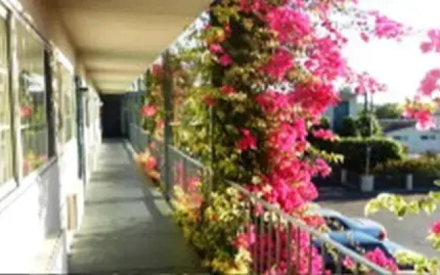 Antioch Executive Inn