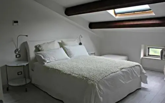 Mister Bed