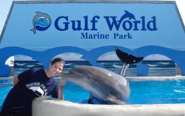 Pelican Beach Terrace 805 by RealJoy