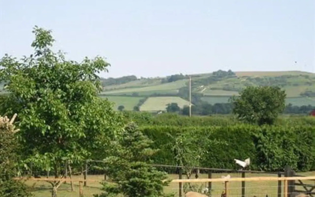 Wayside B&B