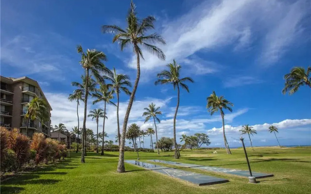 Kauhale Makai 423 - 1 Br Condo