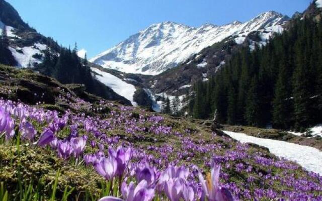 Apartamentos Marisa Mored