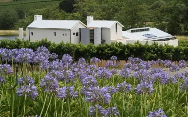 Laibach Vineyards
