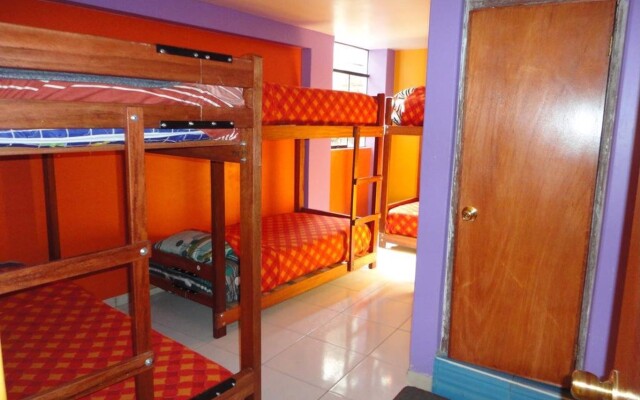 Iguana Hostel