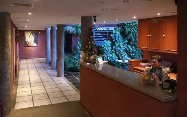 Hotel Palmas Express B&B