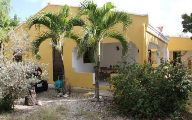 Roadrunner-Bonaire