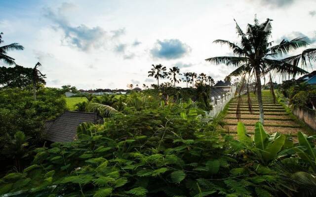 Ankh Villa - Canggu